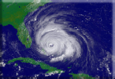 Window leak Mold growth Boynton beach